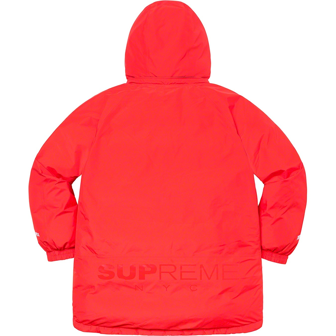 GORE-TEX 700-Fill Down Parka view 24